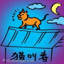 猫叫春 cats mating