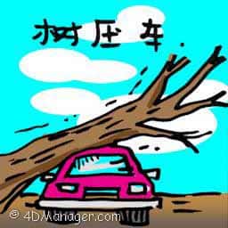 树压车 car crushed by tree