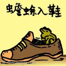 蟾蜍入鞋 toad in a shoe