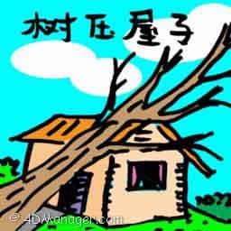 树压屋子 trees fell on roof