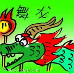 舞龙 dragon dance
